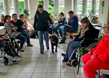 Powiększ zdjęcie: dogoterapia w sali - podopieczna spaceruje z psem inni siedzą w półokręgu i obserwują